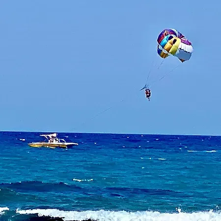 Mikes On The Apartment