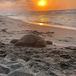 Mikes On The Херсонісос