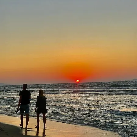 Mikes On The Apartment