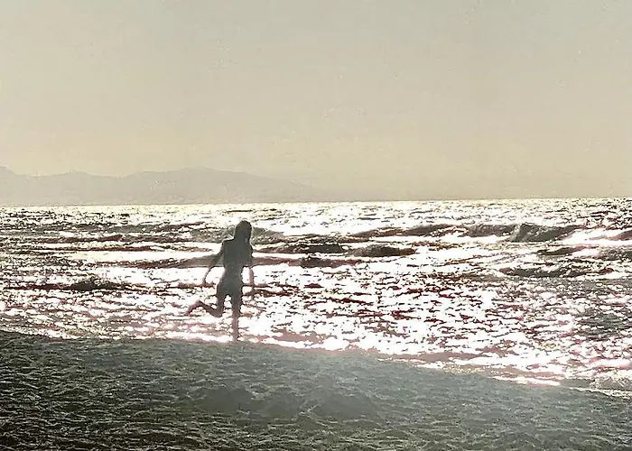 Mikes On The Apartment *